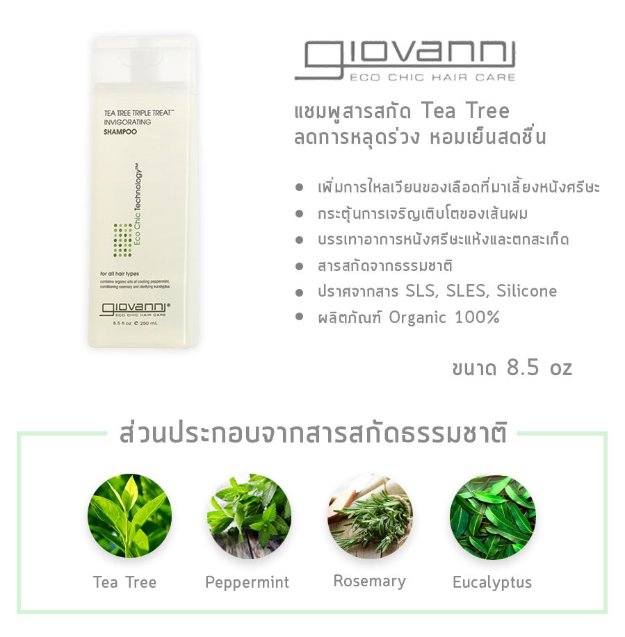 Giovanni | Eco Chic® Tea Tree Triple Treat Invigorating Shampoo, 8.5 oz