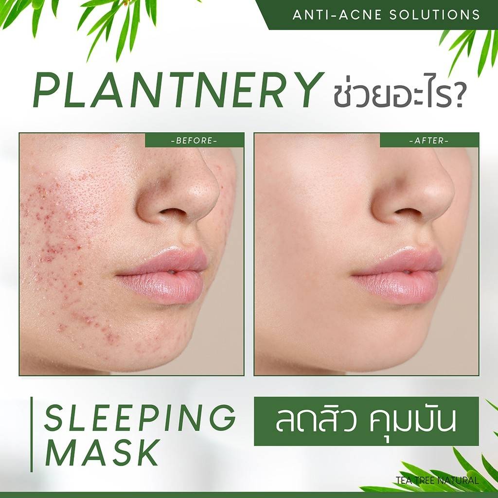 Plantnery Tea Tree Sleeping Mask